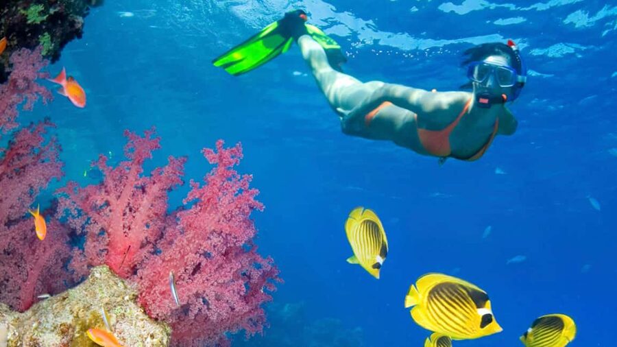 From Punta Cana: Catalina Island Swim, Sail & Snorkel - Getting there from your hotel: pickup, bus, and skip-the-line flow