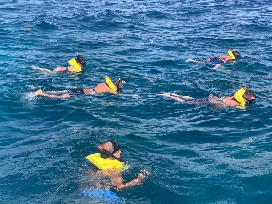 From Punta Cana: Catalina Island Swim, Sail & Snorkel - Lunch, drinks, and downtime: why this schedule works