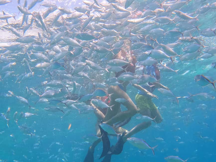 From Punta Cana: Catalina Island Swim, Sail & Snorkel - Practical tips that make the day smoother