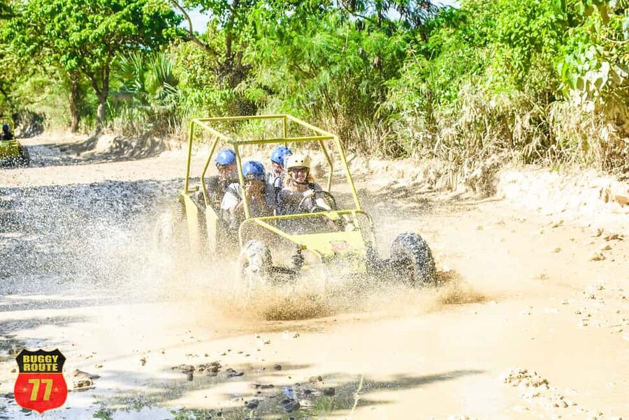 From Punta Cana: Countryside Off-Road Buggy Adventure - Ranch stop: cocoa, coffee, tobacco, and Mamajuana tasting