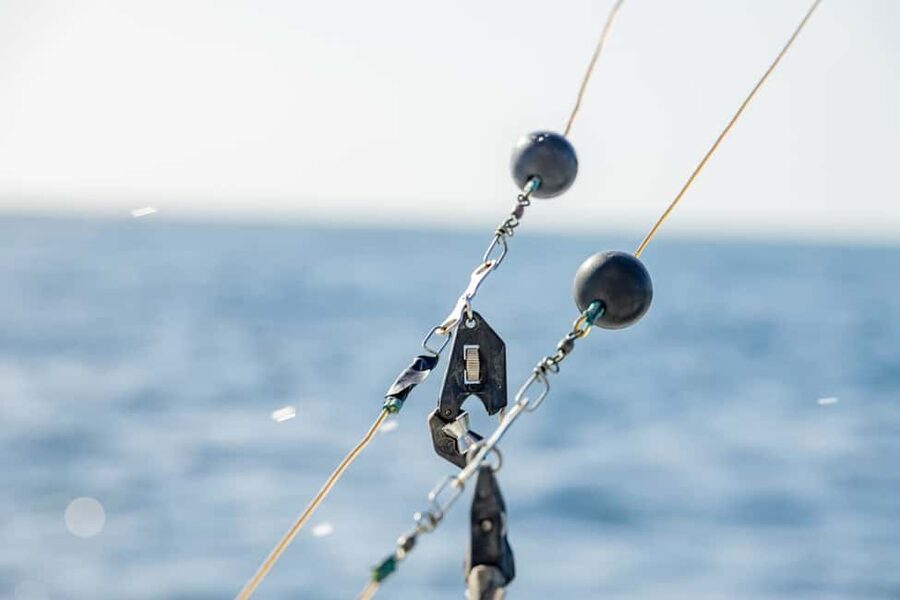 From Punta Cana: Deep Sea Fishing Tour by Boat with Drinks - Quick hits before you book