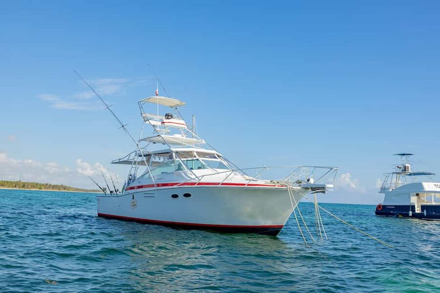From Punta Cana: Deep Sea Fishing Tour by Boat with Drinks - Punta Cana Deep-Sea Fishing: The vibe and what you’re paying for