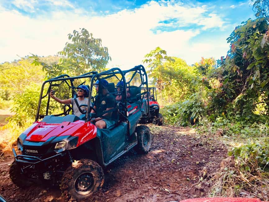 From Punta Cana: Jungle Buggy Adventure to Anamuya River - Key highlights I’d circle before you book
