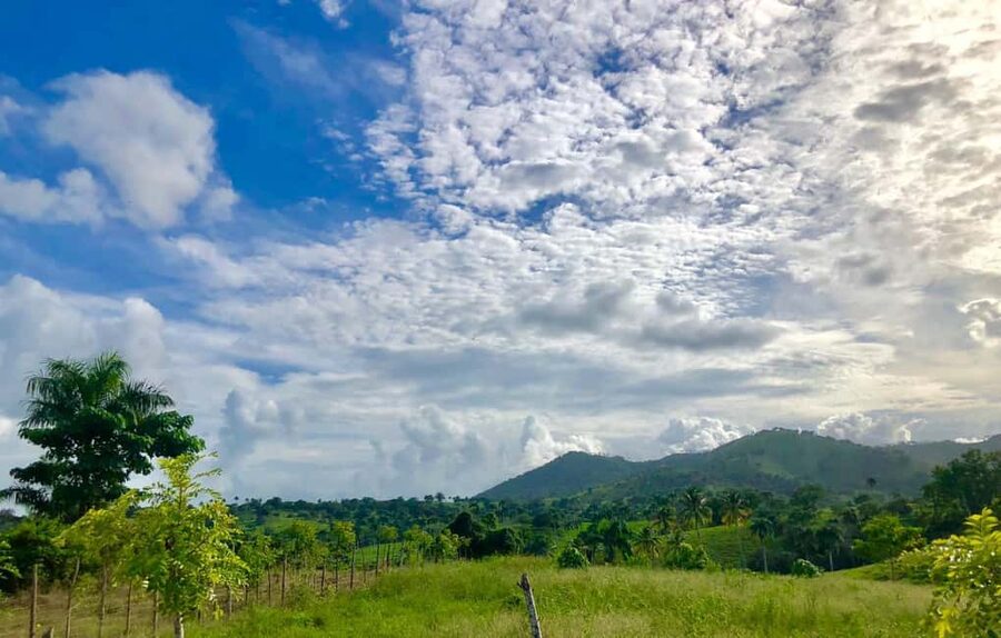 From Punta Cana: Jungle Buggy Adventure to Anamuya River - Price and value: is $89 fair for this mix?
