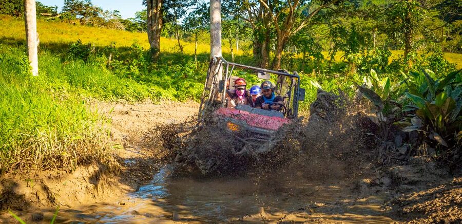 From Punta Cana: Jungle Buggy Adventure to Anamuya River - Honda Pioneer 700 buggy driving: the part you’ll remember
