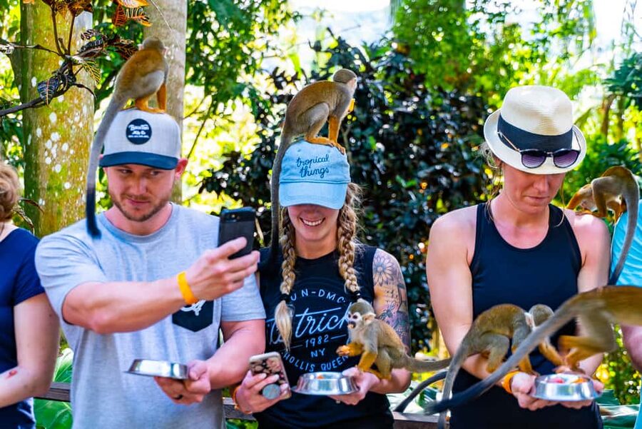 From Punta Cana: Jungle Buggy Ride & Monkeyland Guided Tour - Casa del Coco: coconut oil production you can actually taste