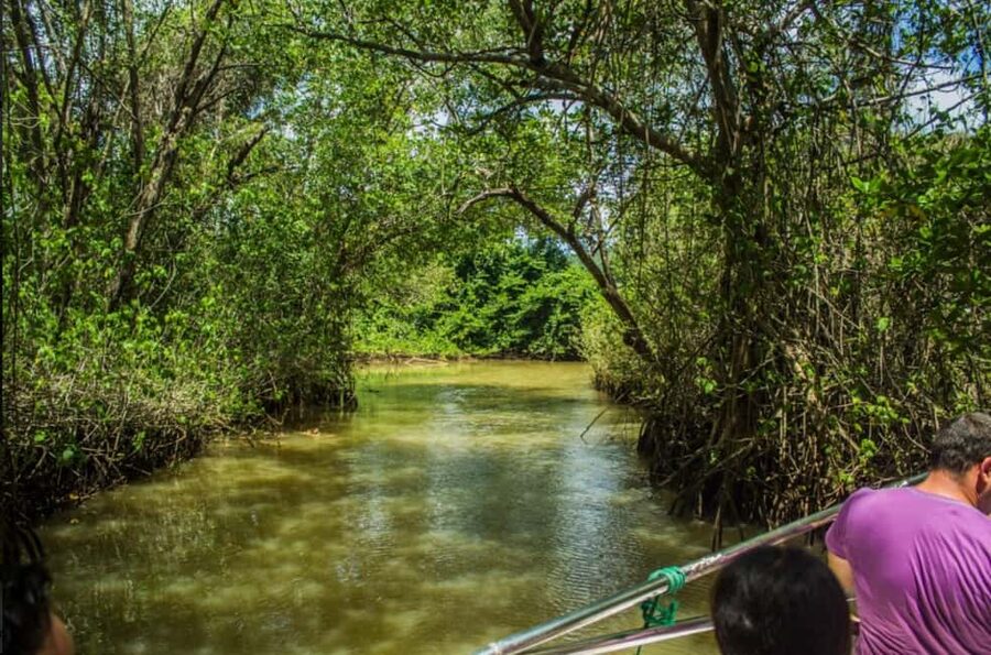 From Punta Cana: Los Haitises Guided Day Tour - Traditional Dominican lunch: where the day slows down