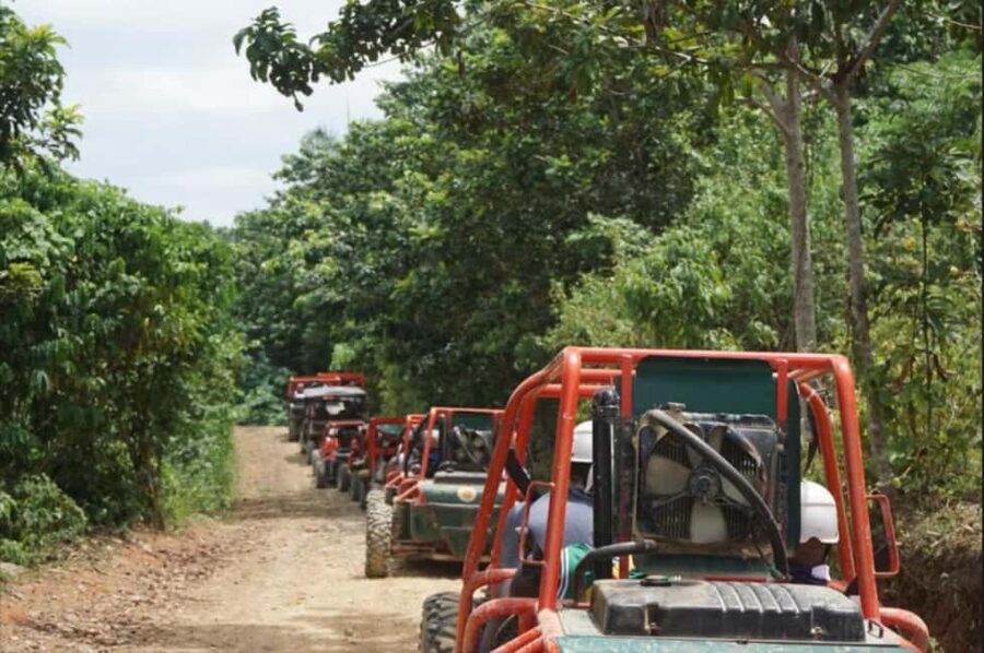 From Punta Cana or La Romana: Sugarcane Fields Buggy or Quad - Key highlights worth planning around