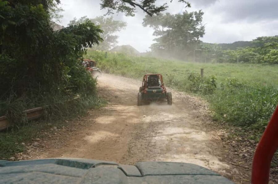 From Punta Cana or La Romana: Sugarcane Fields Buggy or Quad - The 3-Hour Flow: Fields, Villages, and the Chavón River Swim