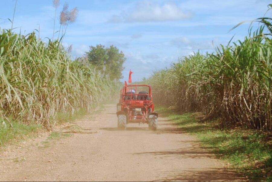 From Punta Cana or La Romana: Sugarcane Fields Buggy or Quad - Practical Tips to Make the Day Smoother