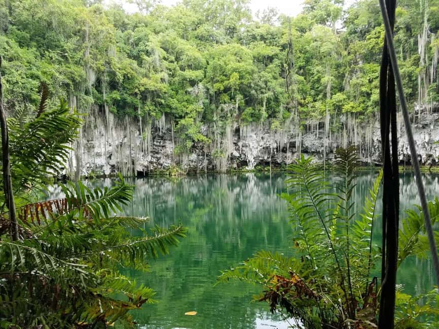 From Punta Cana: Santo Domingo Full-Day Tour with Lunch - Punta Cana to Santo Domingo: the drive that shapes your whole day