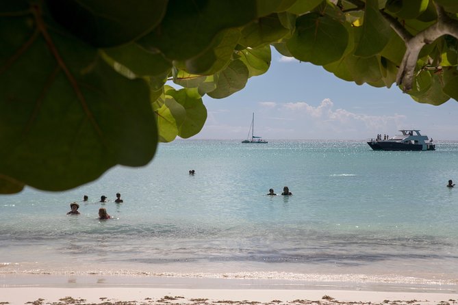 From Punta Cana: Saona Island & Altos de Chavon Day Trip with Lunch and Open Bar - Transportation and crowding: what to expect when everything is included