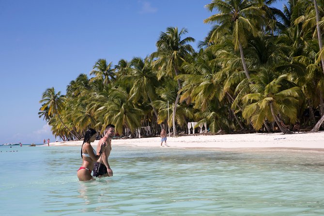 From Punta Cana: Saona Island & Altos de Chavon Day Trip with Lunch and Open Bar - The natural swimming pool stop: short, scenic, and crowded-friendly