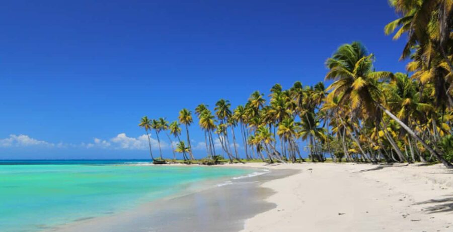 From Punta Cana: Saona Island Boat Trip with Buffet - Catamaran or speedboat: the ride you choose changes the whole day