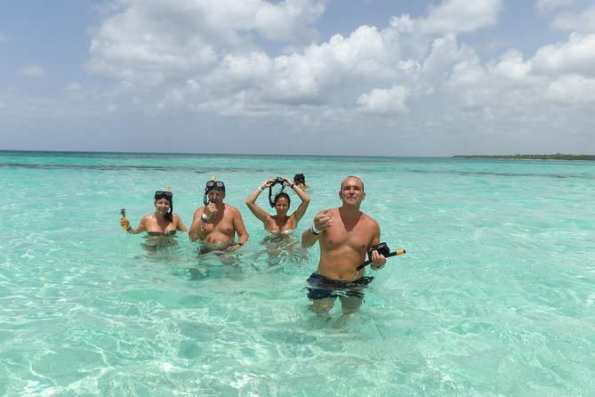 From Punta Cana: Saona Island Full Day For Small Group Catamaran - Key Highlights Worth Caring About