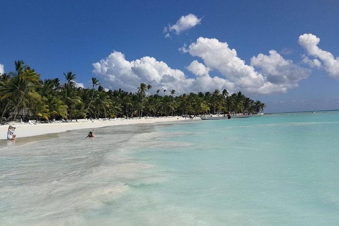 From Punta Cana: Saona Island Full Day For Small Group Catamaran - Lunch and Open Bar: Included Food, Included Drinks, Included Mood