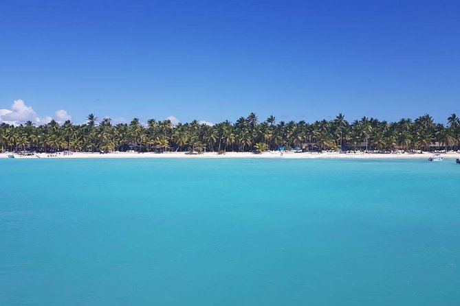 From Punta Cana: Saona Island Full Day For Small Group Catamaran - Small Group Promise vs Group Reality: What to Expect
