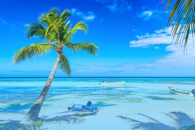 From Punta Cana: Saona Island Full Day For Small Group Catamaran - Price and Value at $78: What You’re Really Paying For
