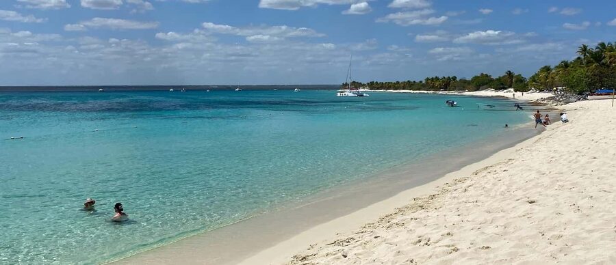 From Punta Cana: Saona Island Full-Day Tour with Lunch - Speedboat and Catamaran Mix: Two Ways to Ride to Saona