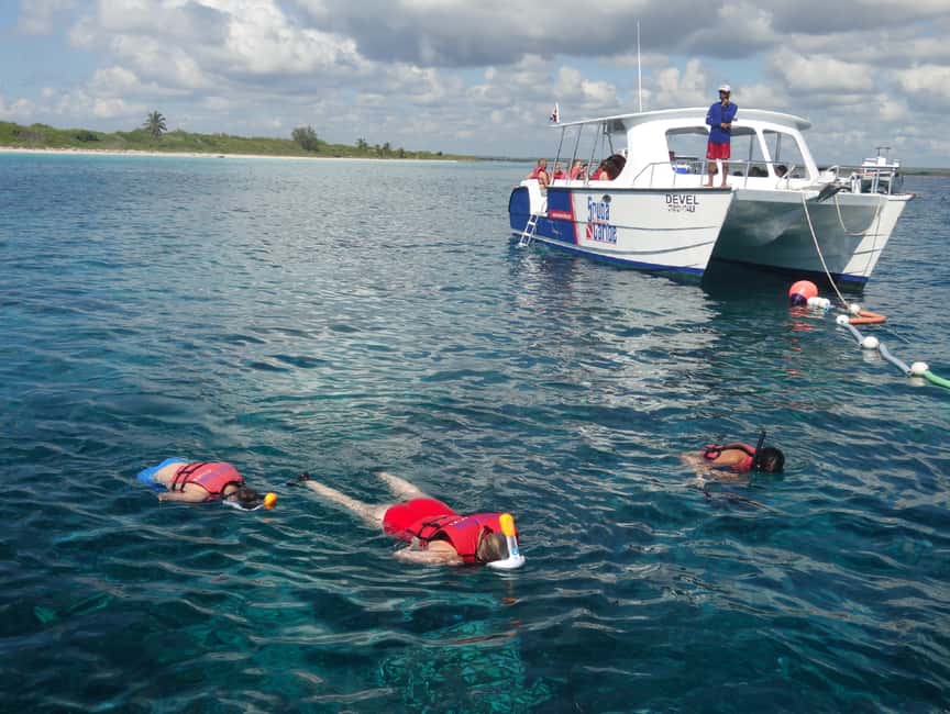From Punta Cana: Saona Island Full-Day Tour with Lunch - Natural Swimming Pool Stop: 30 Minutes in Shallow, Clear Water