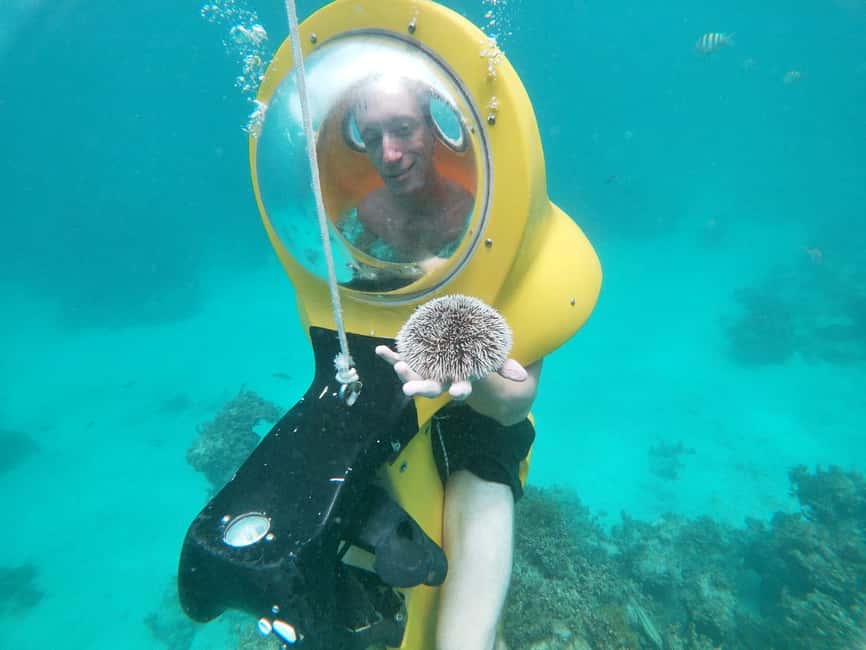 From Punta Cana: ScubaDoo, Snorkel & Glass Bottom Boat Tour - Panoramic One glass-bottom boat: cool tech, but plan for limited viewing