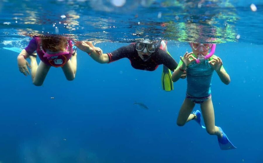 From Punta Cana: Small Group Catalina Island Snorkeling Tour - Snorkeling at the Wall and the Aquarium: where you’ll actually see fish