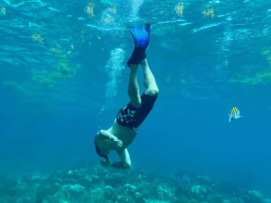 From Punta Cana: Small Group Catalina Island Snorkeling Tour - Catalina beach time and the Natural Pool stop: the calm counterweight