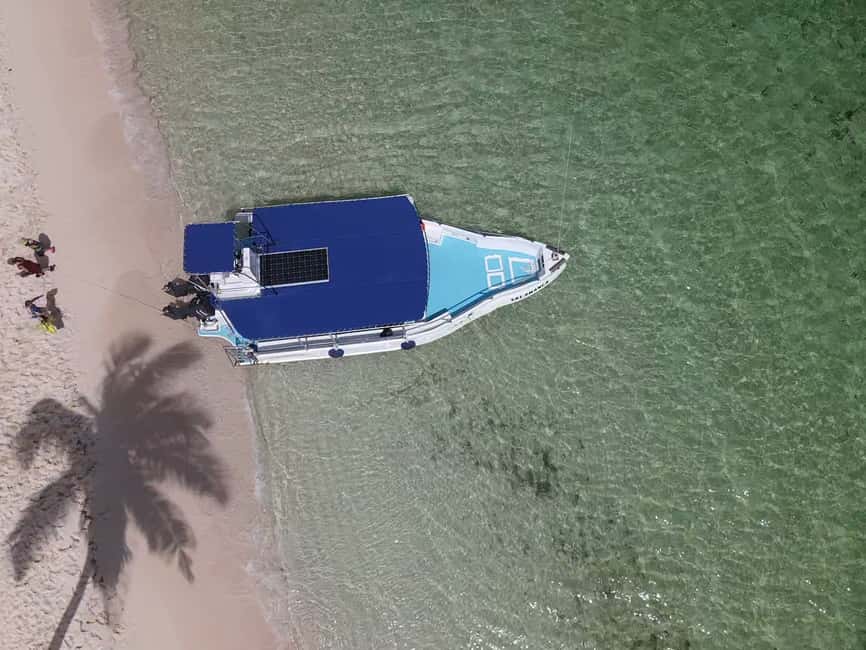 From Punta Cana: Small Group Catalina Island Snorkeling Tour - Price and value: is $128 a fair deal for a full day?