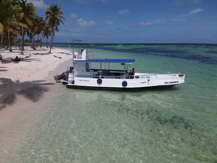 From Punta Cana: Small Group Catalina Island Snorkeling Tour - Who should book this Catalina Island snorkeling tour