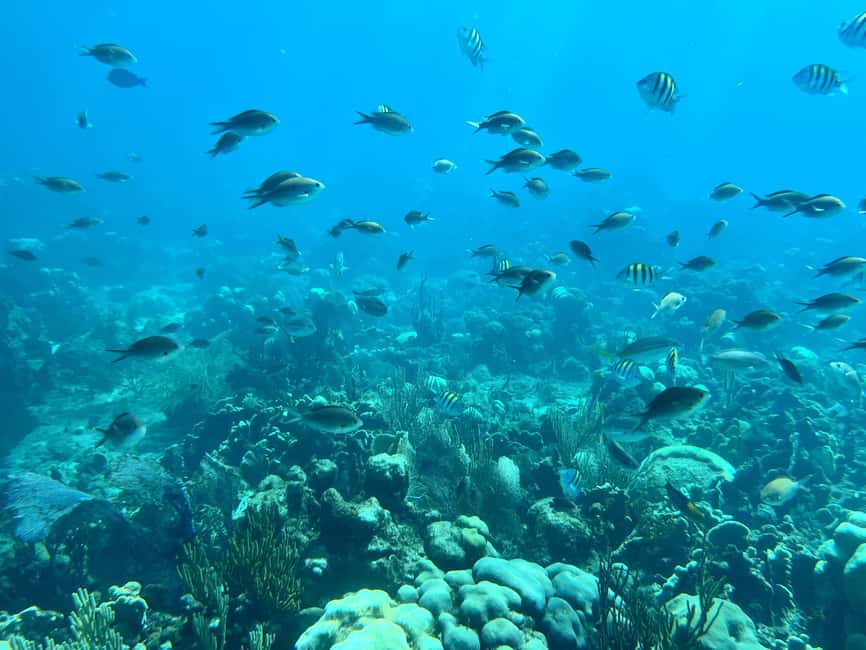 From Punta Cana: Small Group Catalina Island Snorkeling Tour - The 45-foot boat and max 30 passengers: what comfort really means