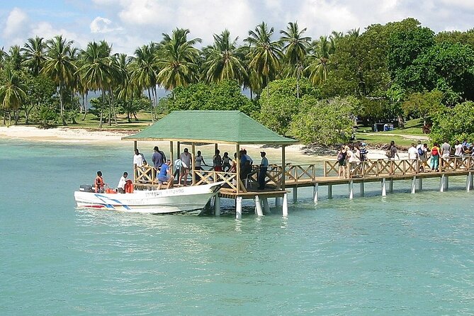 Full Day Bacardi Whale Watching - End Season March 30th - Cayo Levantado (Bacardi Island): lunch, chairs, and swim time