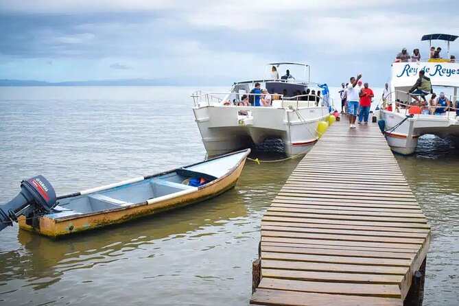 Full Day Bacardi Whale Watching - End Season March 30th - Who this tour fits best (and who might want another plan)