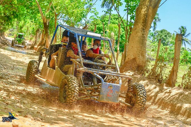 Full-day Buggy & Party Boat tour: snorkel, open bar, cave pool - Key Things You Should Know Before You Go