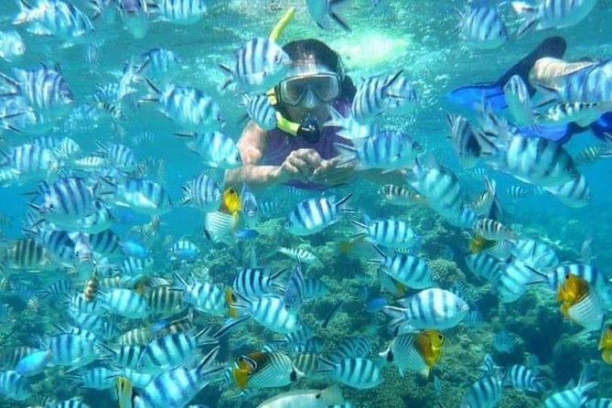 Full day Caribbean Catalina Island with snorkeling - Who this Catalina snorkeling day trip is best for (and who should skip it)