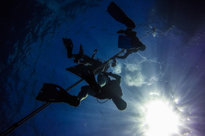 Full-Day Catalina Island Scuba Diving Tour from Punta Cana - Underwater stop #2: Aquarium for visibility and variety