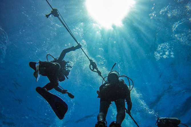 Full-Day Catalina Island Scuba Diving Tour from Punta Cana - Pickup timing and the ride reality from your hotel