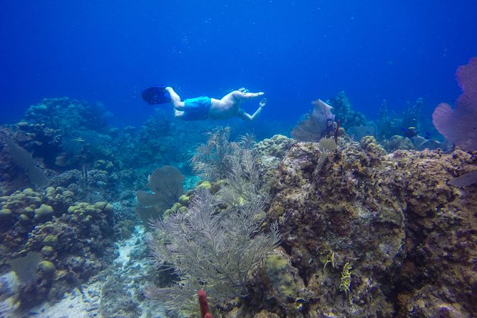 Full-Day Catalina Island Snorkeling Tour from Bavaro - Snorkel Time at the Catalina Stops: Expect Help, Varying Conditions