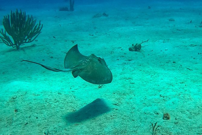 Full-Day Catalina Island Snorkeling Tour from Bavaro - When It Feels Great vs. When It Feels Chaotic
