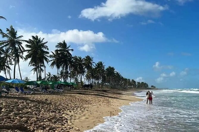 Full Day City Tour of Punta Cana - Jumbo, Pueblo Bávaro, and the Quick Reality Check on Daily Life
