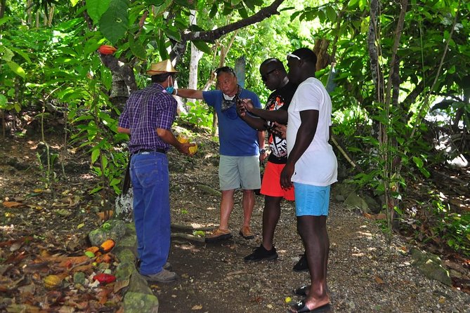 Full Day Eco Safari Adventure and Cultural Tour - The Included Food, Drinks, and Tastings: What You’re Really Paying For