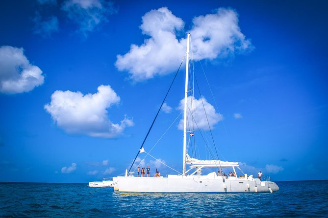 Full-Day Excursion in Saona Island - Price and Value: Is $64 a Smart Deal?