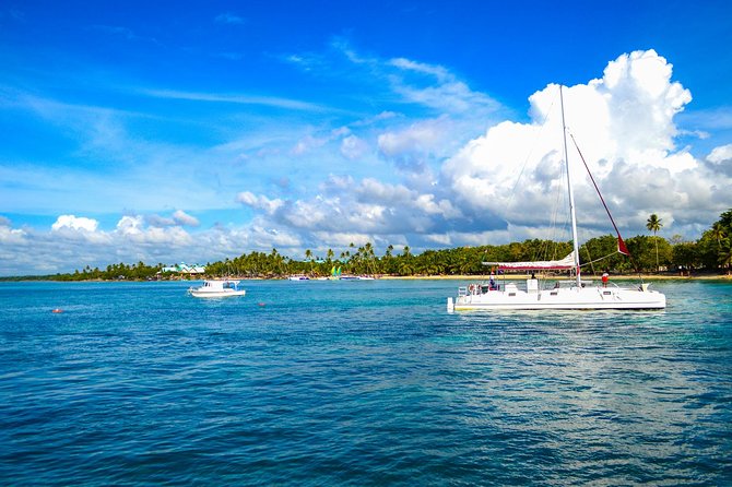 Full-Day Excursion in Saona Island - Service Quality: Guides, Energy, and the English Question
