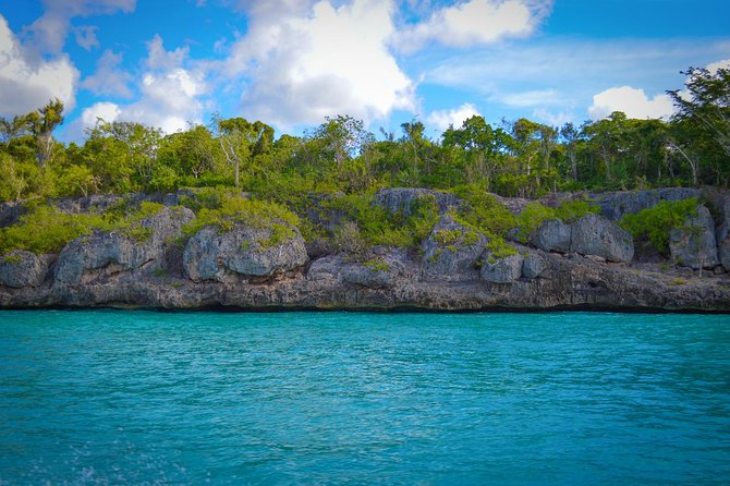 Full-Day Excursion in Saona Island - Safety and Comfort: What to Watch on the Boats