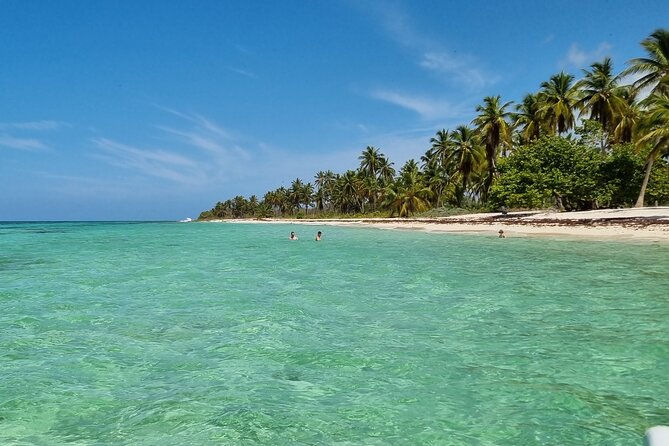 Full Day Island Tour in Isla Saona from Punta Cana - Isla Saona beach time: turquoise water, real free time