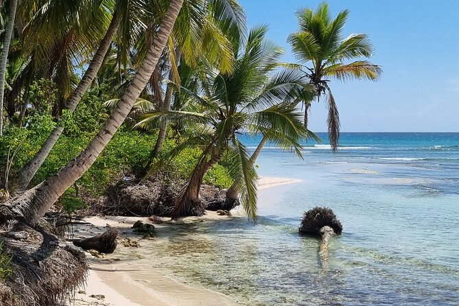 Full Day Island Tour in Isla Saona from Punta Cana - The return by speedboat: faster end, tighter timing