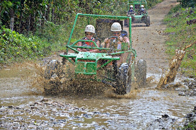 Full-Day La Hacienda Dune Buggy with Zipline & Horseback Activity - The Dominican Cacao and Coffee Demonstration: Culture With Real Context