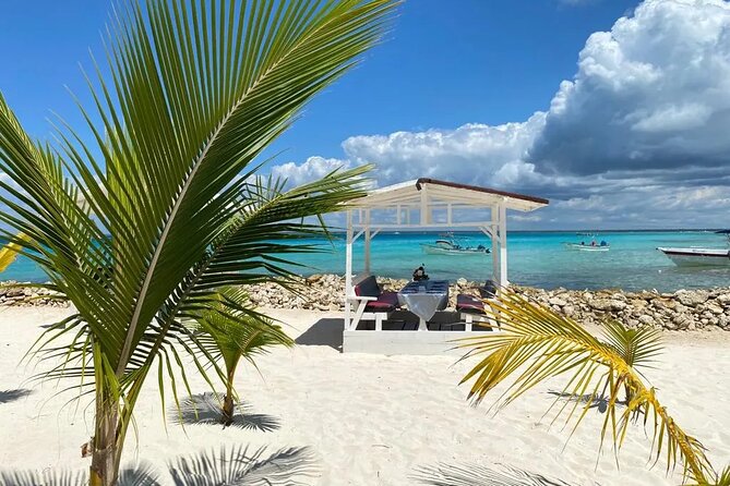 Full Day Private Tour of Bayahibe, Cotubanamá and Saona Island - Sailing Toward Saona Island: The Ocean Part You’ll Remember