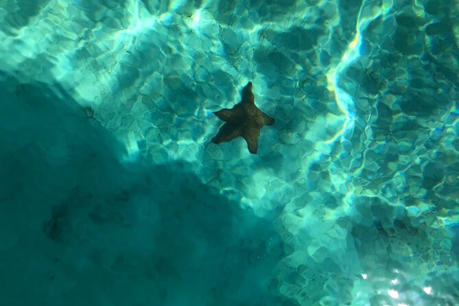 Full-Day Saona Island Escape – Beaches, Adventure, Paradise Vibes - Who this tour is best for (and who should skip it)