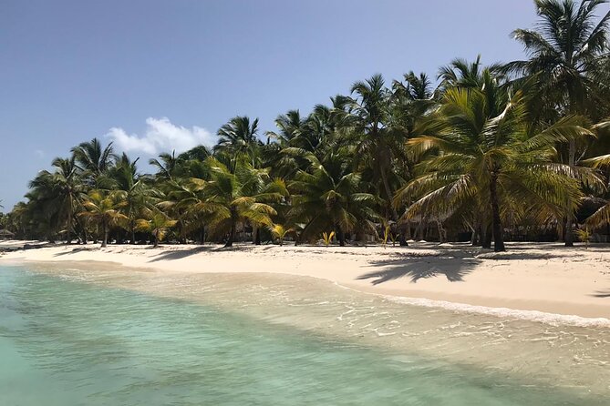 Full-Day Saona Island Escape – Beaches, Adventure, Paradise Vibes - Your day on the water: fast boats and catamarans
