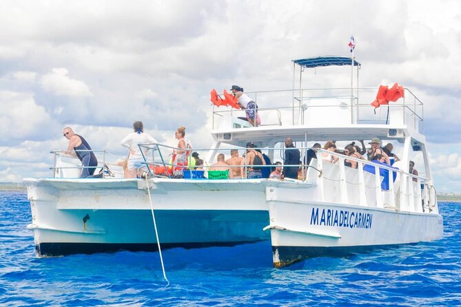 Full Day Snorkeling in Catalina Island with Transportation and Lunch - Key highlights worth planning for